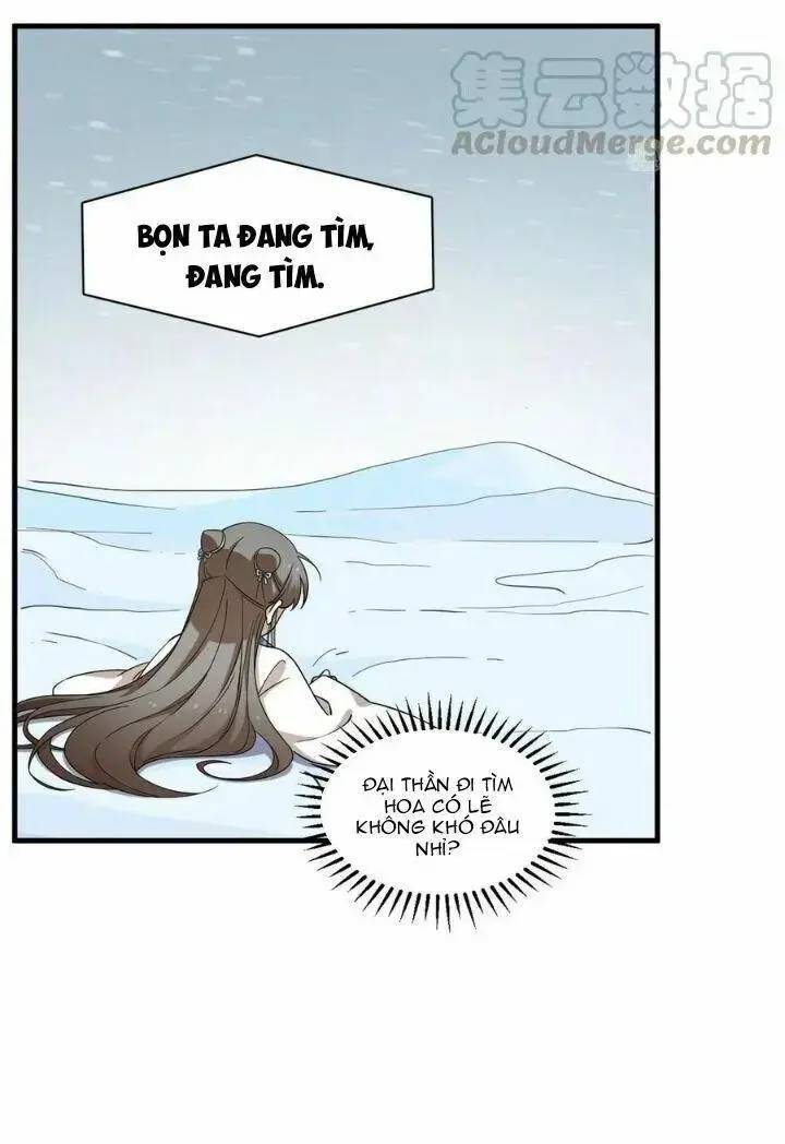 Độc Bộ Thiên Hạ Đặc Công Thần Y Tiểu Thú Phi - Chap 252