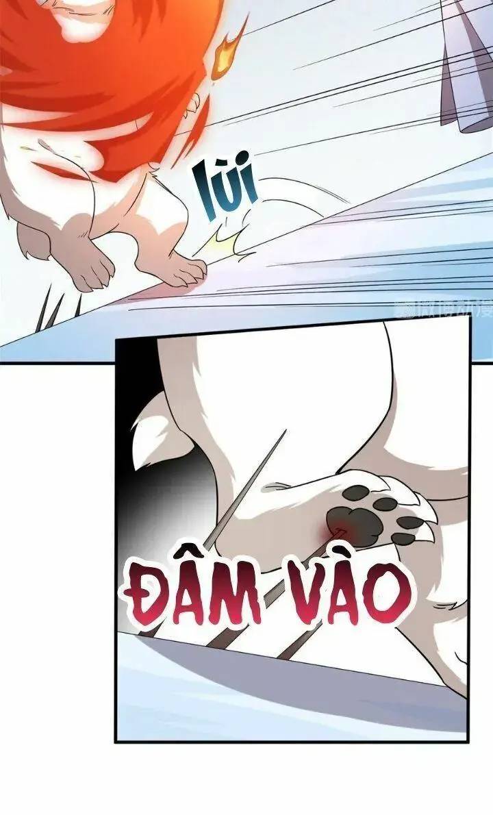 Độc Bộ Thiên Hạ Đặc Công Thần Y Tiểu Thú Phi - Chap 254