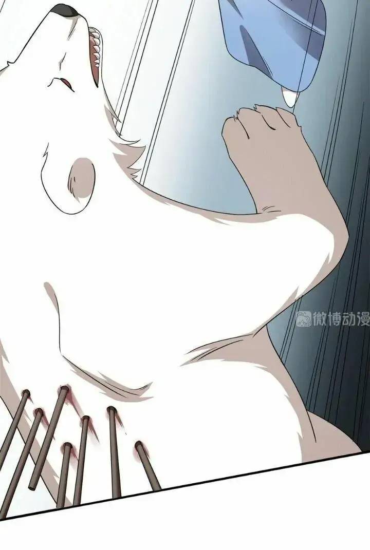 Độc Bộ Thiên Hạ Đặc Công Thần Y Tiểu Thú Phi - Chap 254