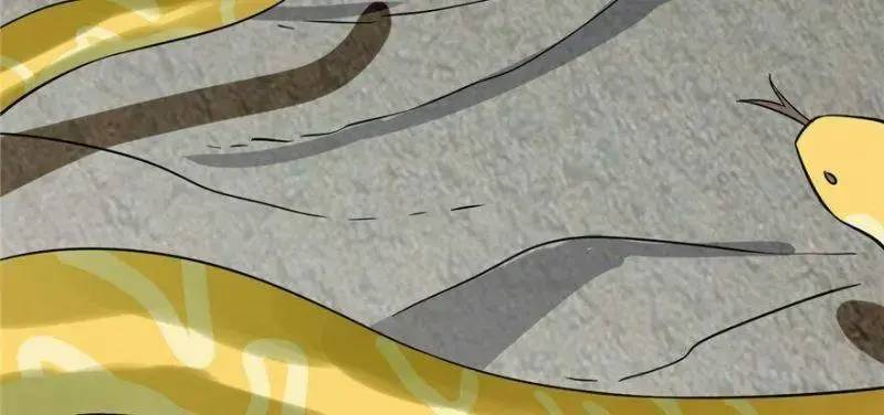 Độc Bộ Thiên Hạ Đặc Công Thần Y Tiểu Thú Phi - Chap 26