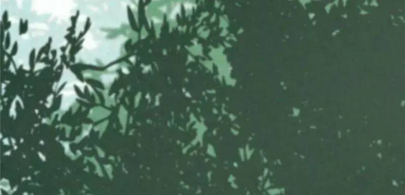 Độc Bộ Thiên Hạ Đặc Công Thần Y Tiểu Thú Phi - Chap 26