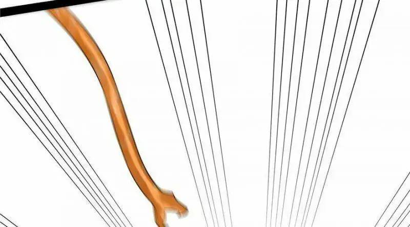 Độc Bộ Thiên Hạ Đặc Công Thần Y Tiểu Thú Phi - Chap 27