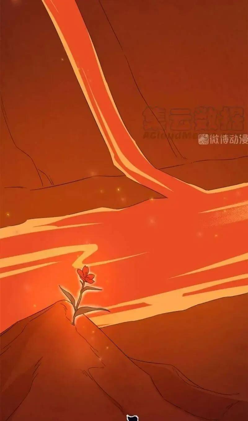 Độc Bộ Thiên Hạ Đặc Công Thần Y Tiểu Thú Phi - Chap 284