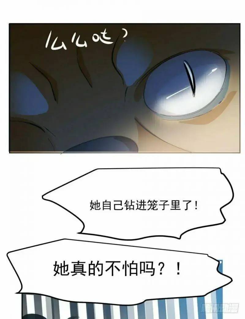 Độc Bộ Thiên Hạ Đặc Công Thần Y Tiểu Thú Phi - Chap 3