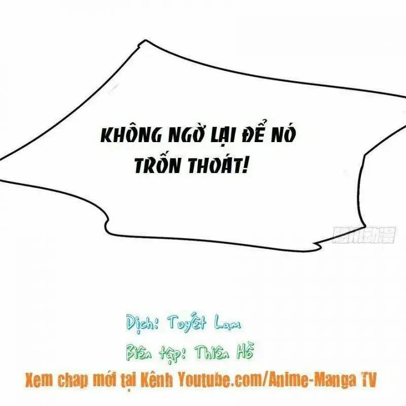 Độc Bộ Thiên Hạ Đặc Công Thần Y Tiểu Thú Phi - Chap 31