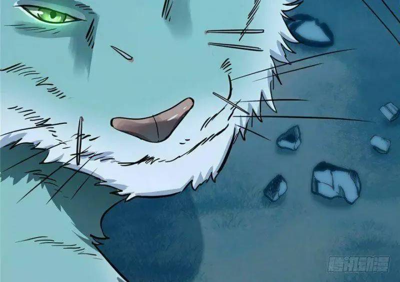 Độc Bộ Thiên Hạ Đặc Công Thần Y Tiểu Thú Phi - Chap 34