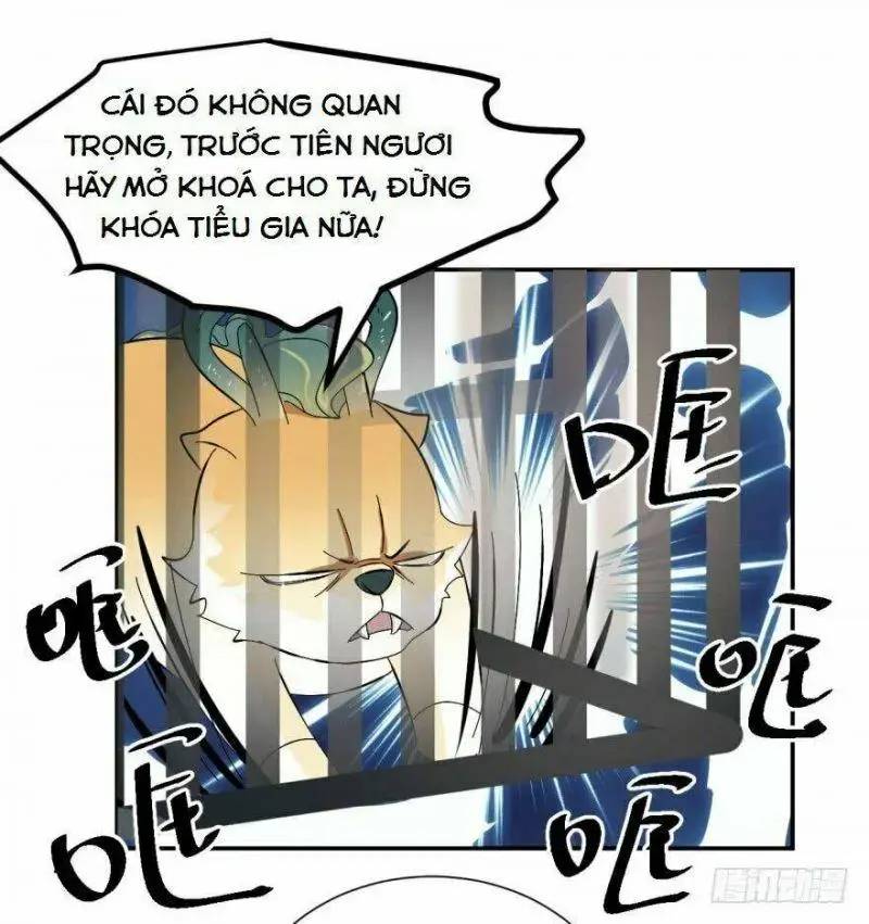 Độc Bộ Thiên Hạ Đặc Công Thần Y Tiểu Thú Phi - Chap 4