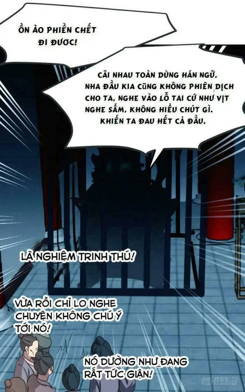 Độc Bộ Thiên Hạ Đặc Công Thần Y Tiểu Thú Phi - Chap 5