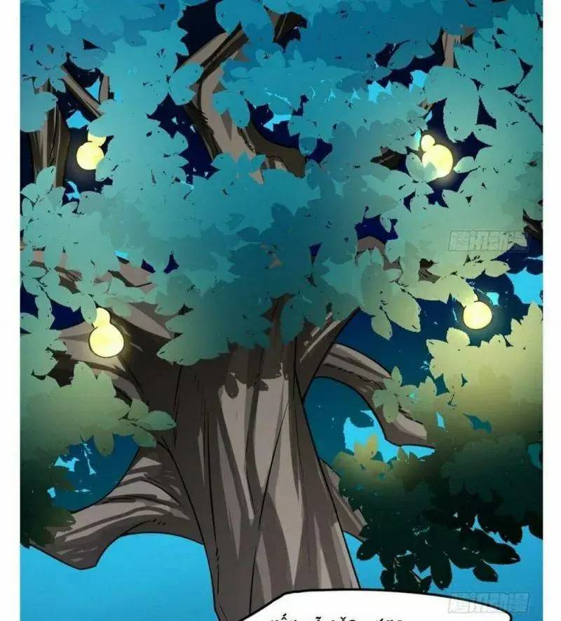 Độc Bộ Thiên Hạ Đặc Công Thần Y Tiểu Thú Phi - Chap 50