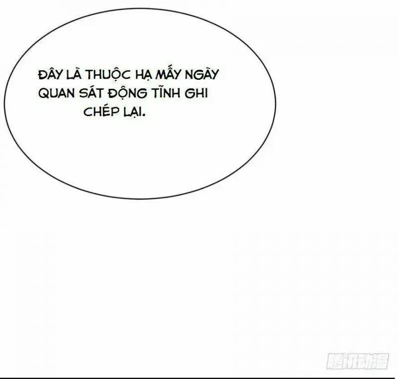 Độc Bộ Thiên Hạ Đặc Công Thần Y Tiểu Thú Phi - Chap 8