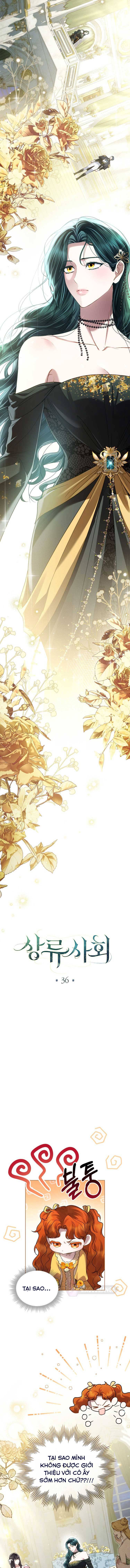 Giới Thượng Lưu - Chap 36