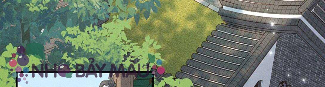 Hải Vương Sau Khi Hoàn Lương Hắn Rơi Vào Cạm Bẫy Năm Phân - Chap 2