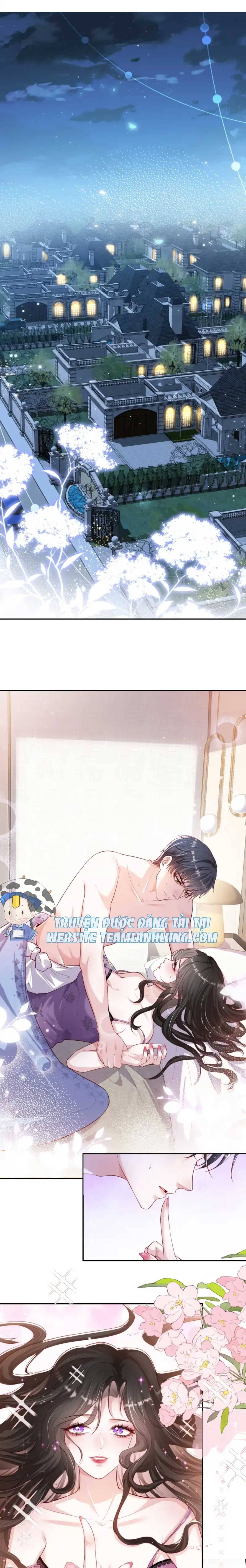 Hành Trình Theo Đuổi Vợ Yêu Của Tổng Tài - Chap 2