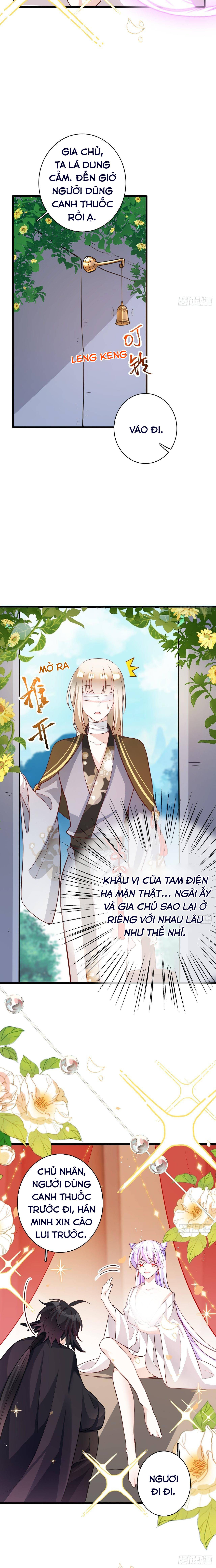 Hậu Cung Ba Ngàn Của Nãi Nãi - Chap 16-19