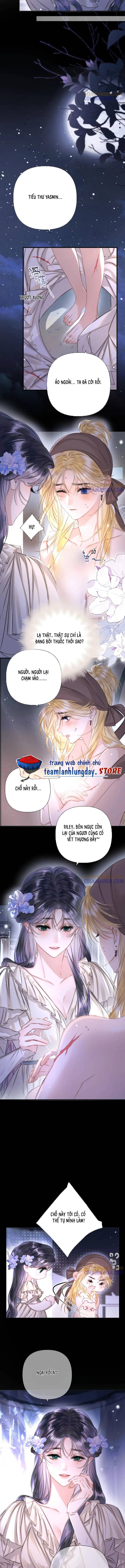 Hãy Trao Cho Ta Nụ Hôn Của Nàng - Chap 2