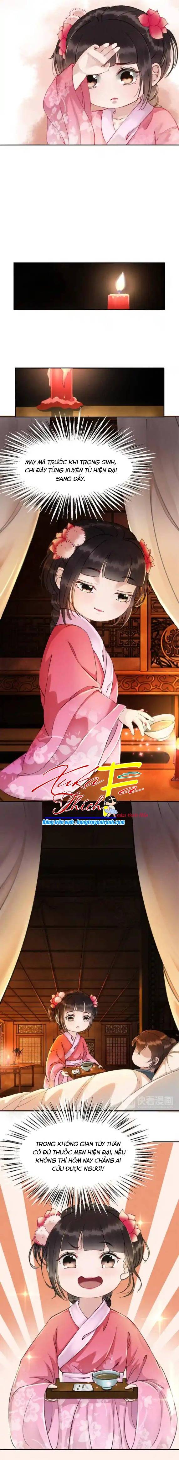 Hoàng Tỷ Của Ta Không Phải Dạng Dễ Bắt Nạt - Chap 2