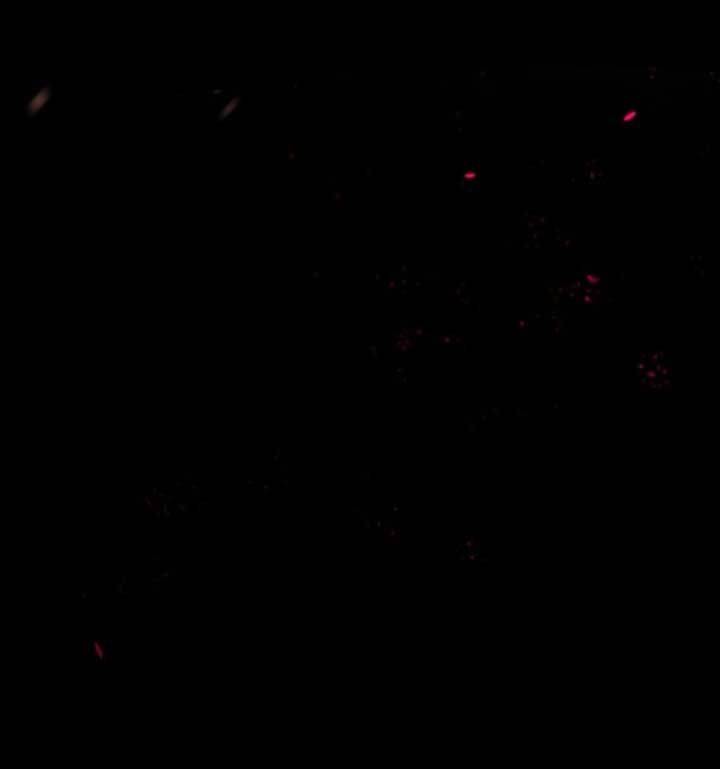 Lão Đại Xuyên Không Gả Cho Phu Quân Mù - Chap 1