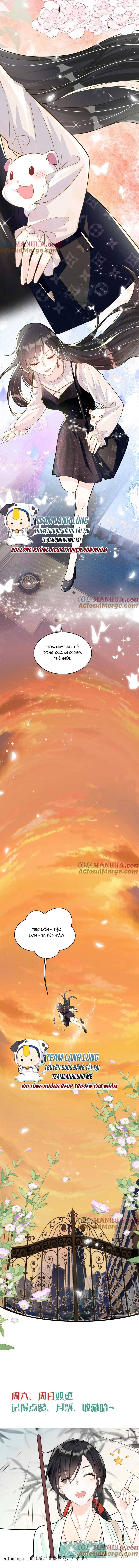 Lão Tổ Tông Của Ta Vừa Xinh Vừa Giỏi - Chap 39