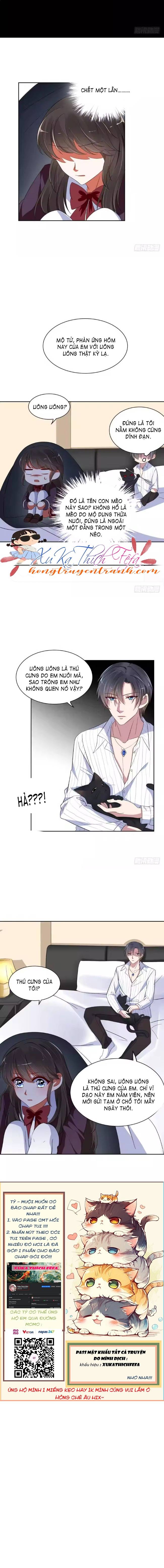 Mộ Tổng Hôm Nay Cưa Được Vợ Chưa? - Chap 9