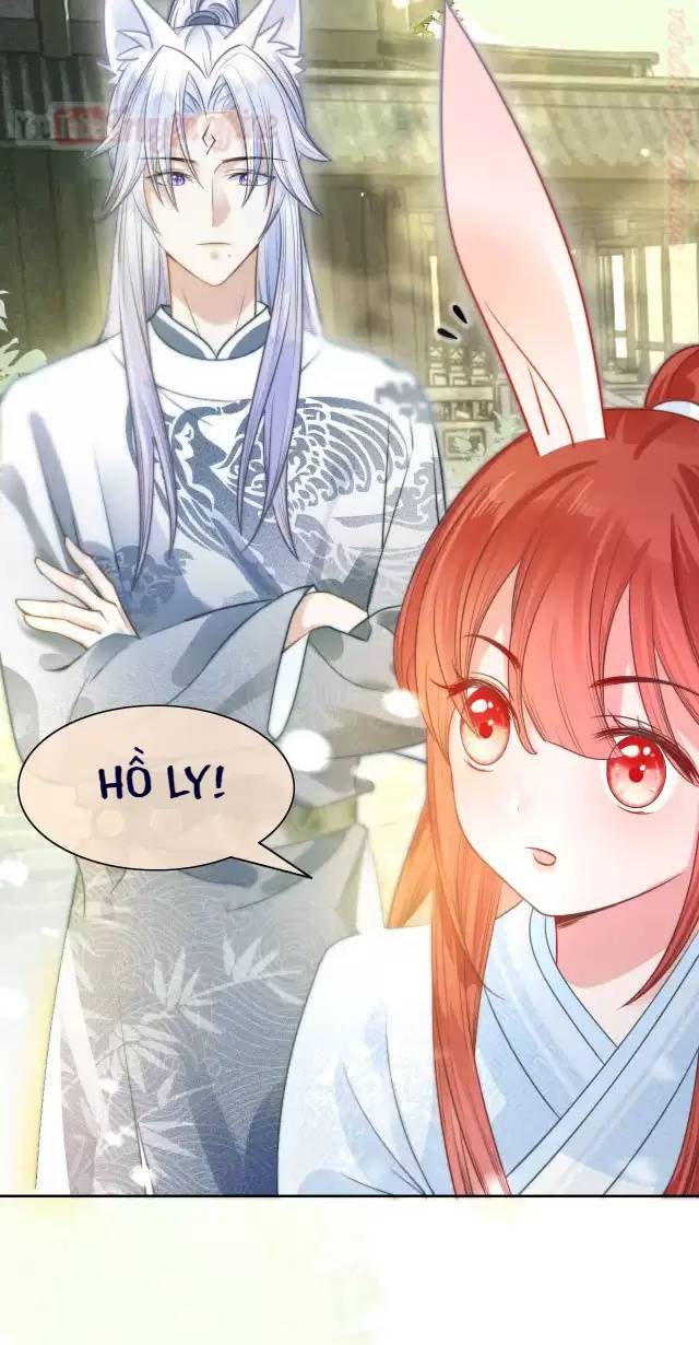 Nam Chủ Hắc Hóa Nuôi Dưỡng Thỏ Online - Chap 10