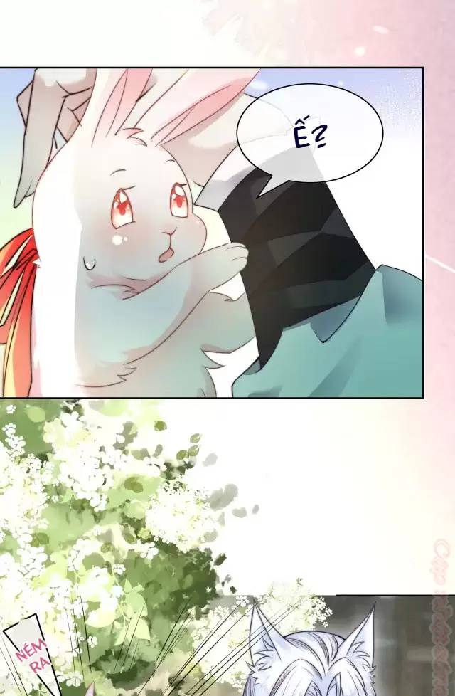 Nam Chủ Hắc Hóa Nuôi Dưỡng Thỏ Online - Chap 10