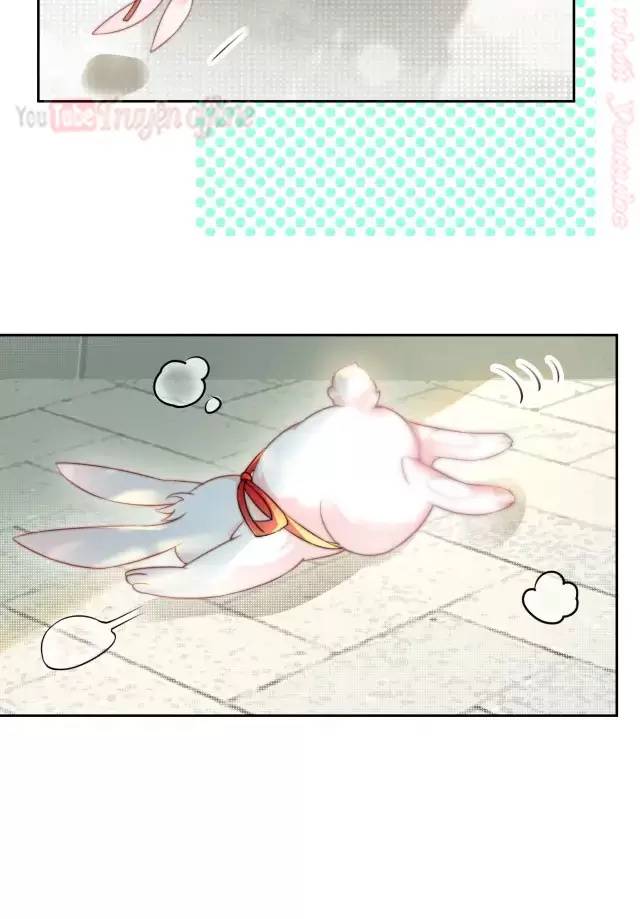 Nam Chủ Hắc Hóa Nuôi Dưỡng Thỏ Online - Chap 10