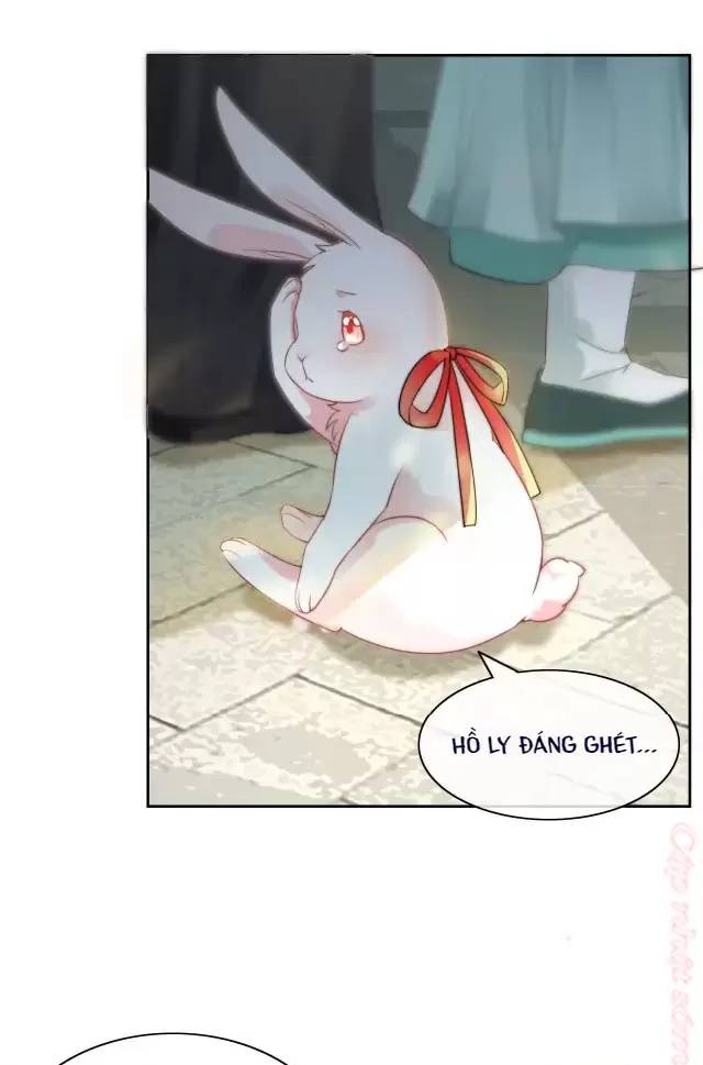 Nam Chủ Hắc Hóa Nuôi Dưỡng Thỏ Online - Chap 10