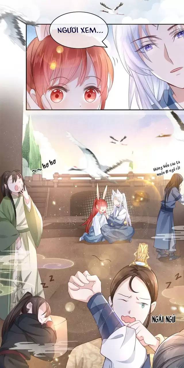 Nam Chủ Hắc Hóa Nuôi Dưỡng Thỏ Online - Chap 11