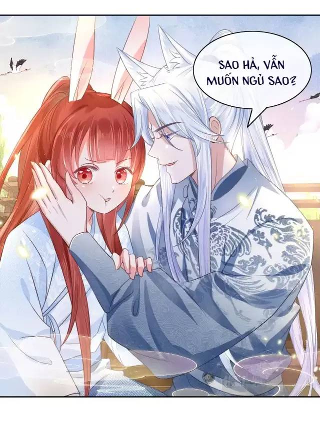 Nam Chủ Hắc Hóa Nuôi Dưỡng Thỏ Online - Chap 11