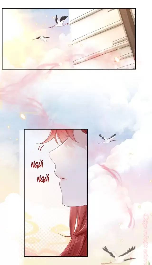 Nam Chủ Hắc Hóa Nuôi Dưỡng Thỏ Online - Chap 11