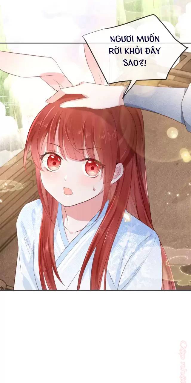 Nam Chủ Hắc Hóa Nuôi Dưỡng Thỏ Online - Chap 11