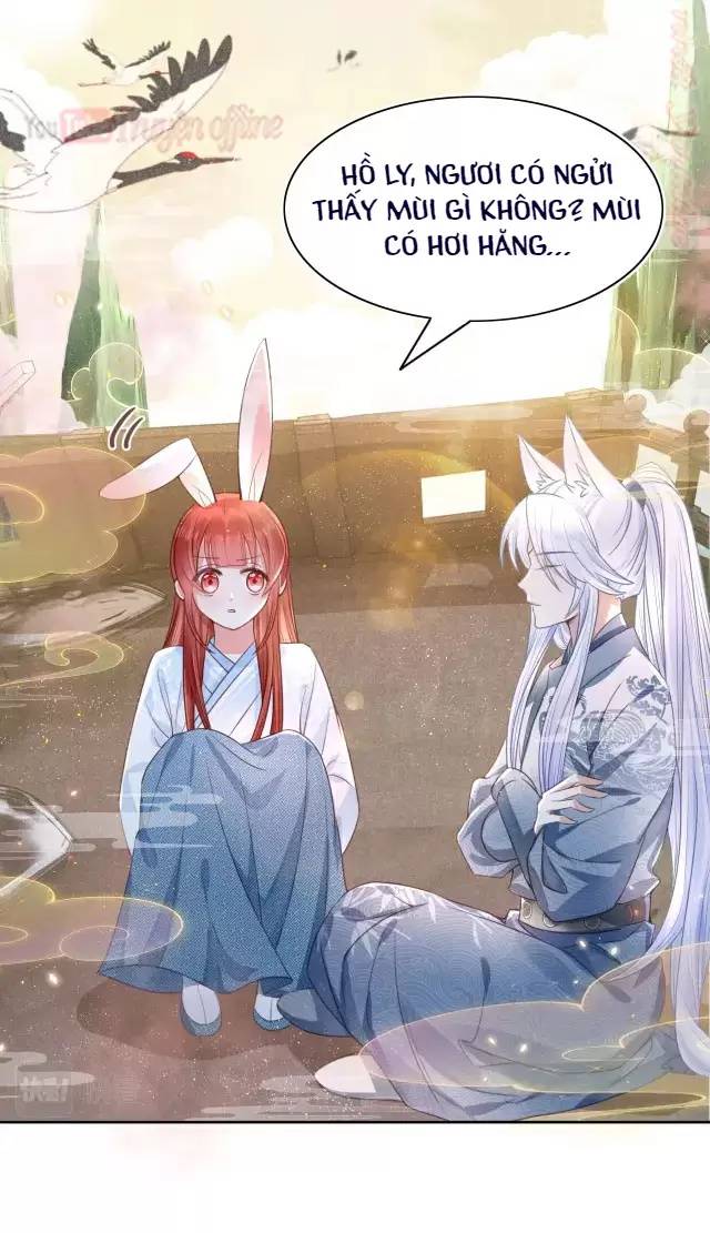 Nam Chủ Hắc Hóa Nuôi Dưỡng Thỏ Online - Chap 11