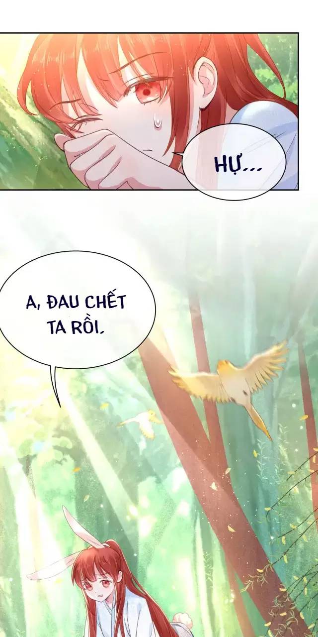 Nam Chủ Hắc Hóa Nuôi Dưỡng Thỏ Online - Chap 12