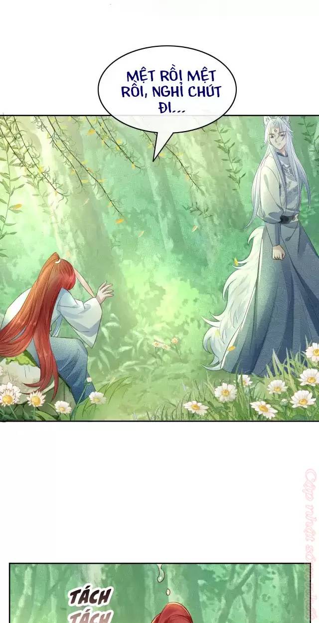 Nam Chủ Hắc Hóa Nuôi Dưỡng Thỏ Online - Chap 14