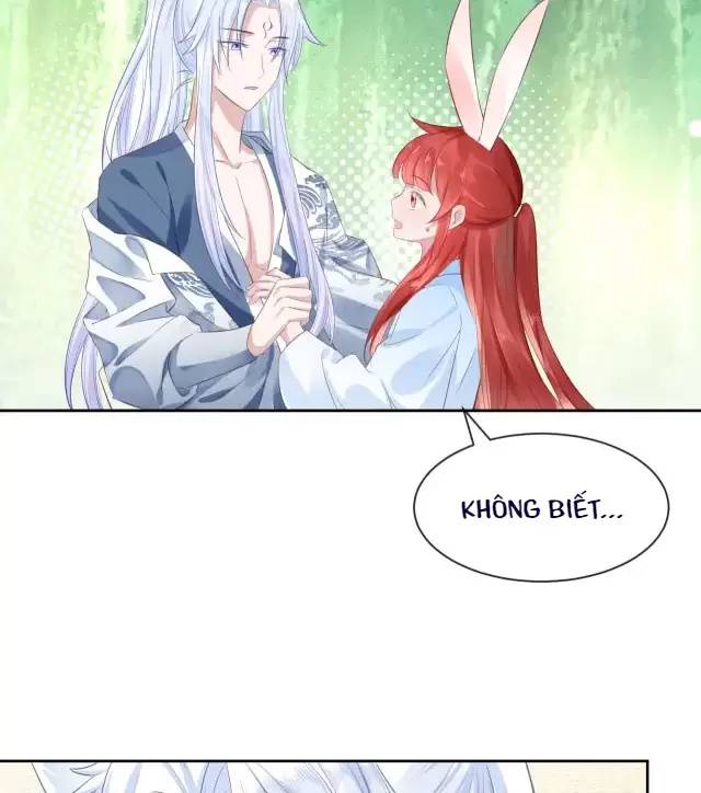 Nam Chủ Hắc Hóa Nuôi Dưỡng Thỏ Online - Chap 15