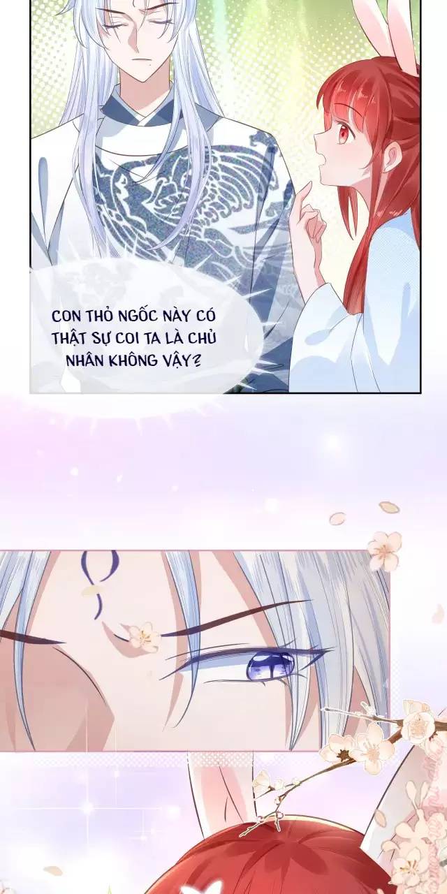 Nam Chủ Hắc Hóa Nuôi Dưỡng Thỏ Online - Chap 15