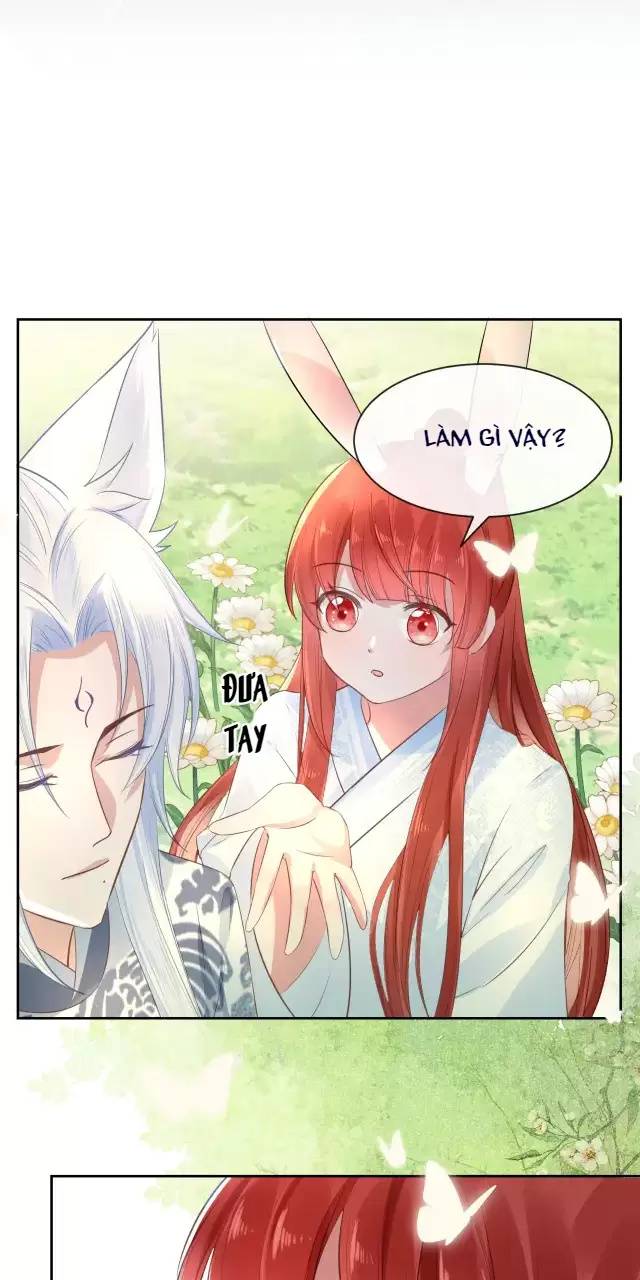 Nam Chủ Hắc Hóa Nuôi Dưỡng Thỏ Online - Chap 15