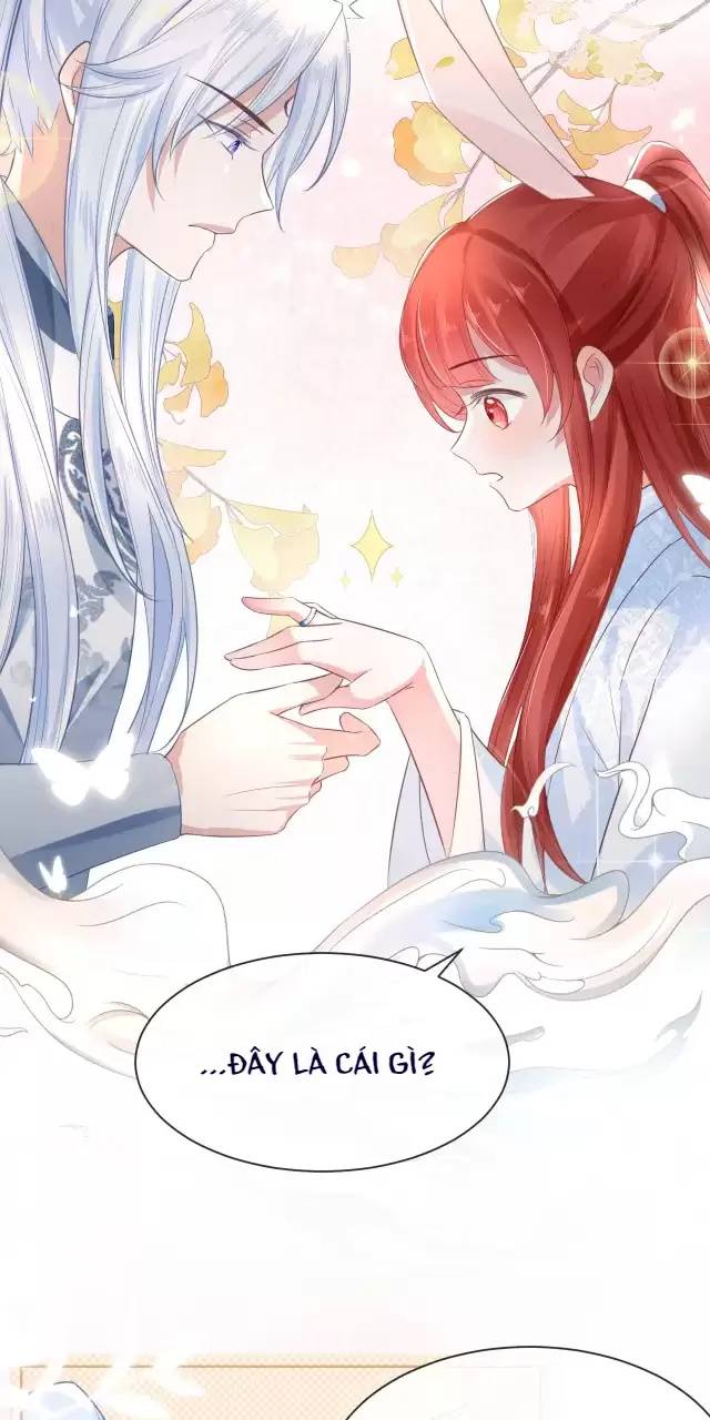 Nam Chủ Hắc Hóa Nuôi Dưỡng Thỏ Online - Chap 15