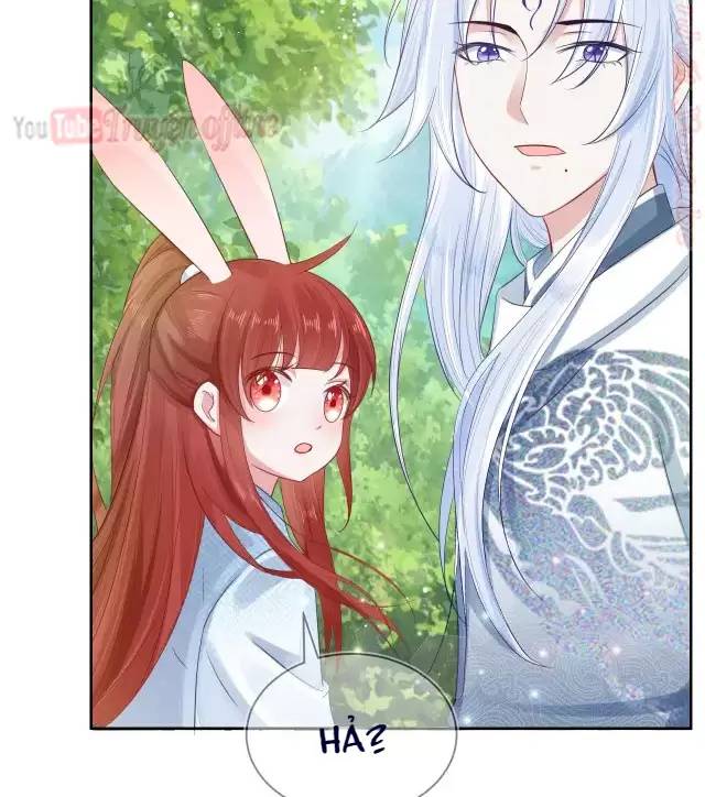 Nam Chủ Hắc Hóa Nuôi Dưỡng Thỏ Online - Chap 16