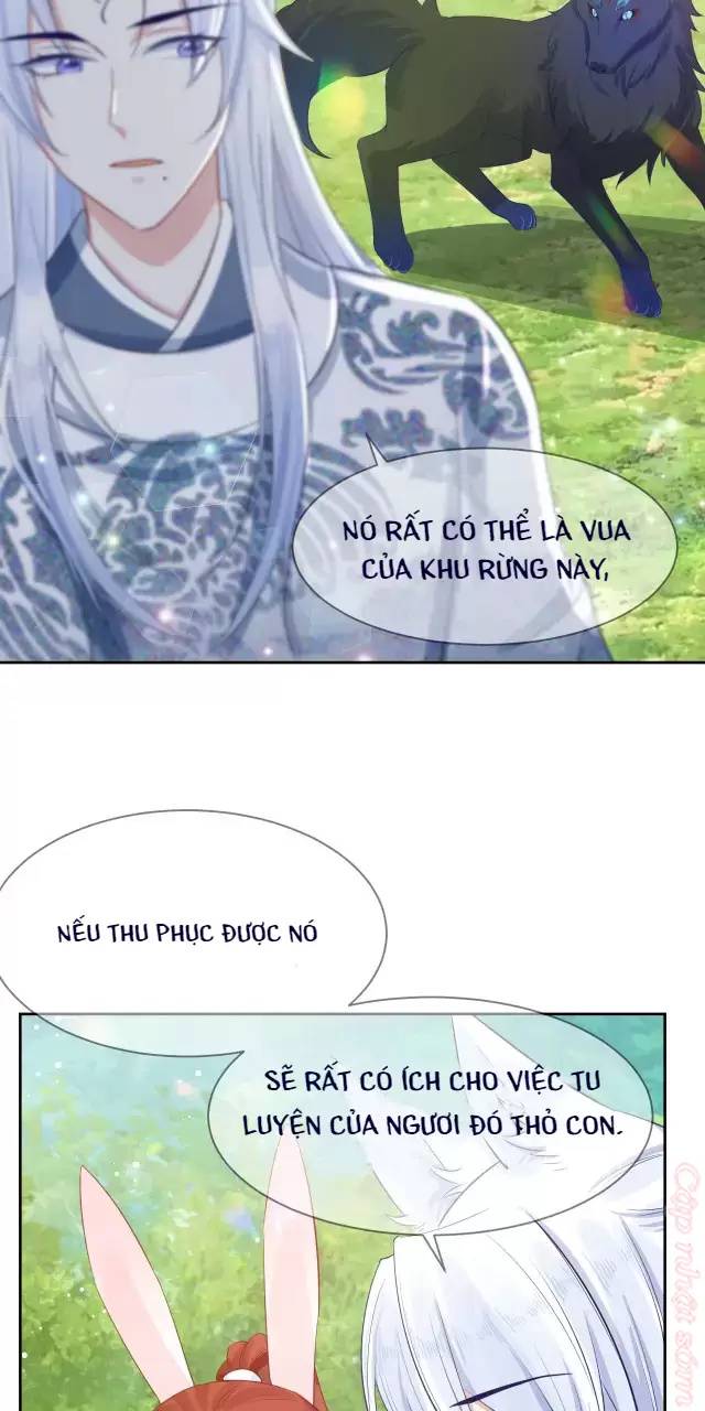 Nam Chủ Hắc Hóa Nuôi Dưỡng Thỏ Online - Chap 16