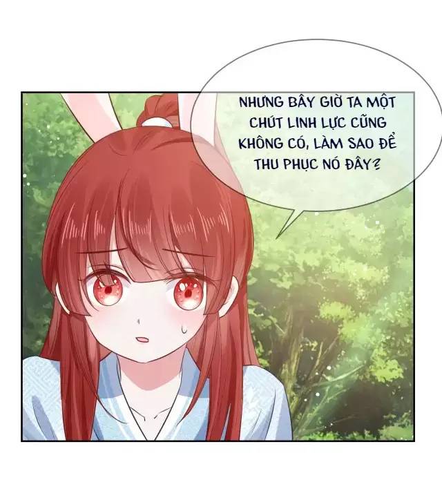 Nam Chủ Hắc Hóa Nuôi Dưỡng Thỏ Online - Chap 16