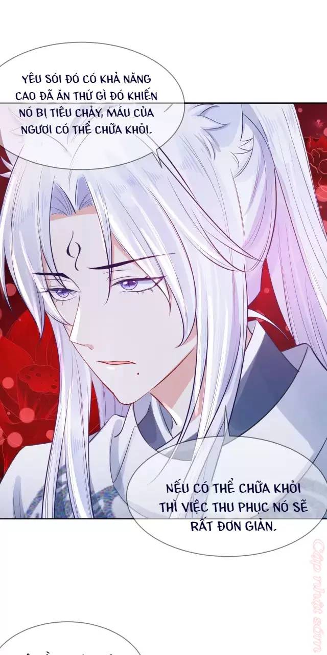 Nam Chủ Hắc Hóa Nuôi Dưỡng Thỏ Online - Chap 16