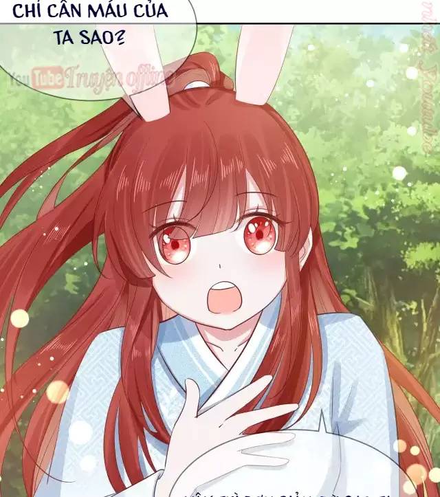 Nam Chủ Hắc Hóa Nuôi Dưỡng Thỏ Online - Chap 16