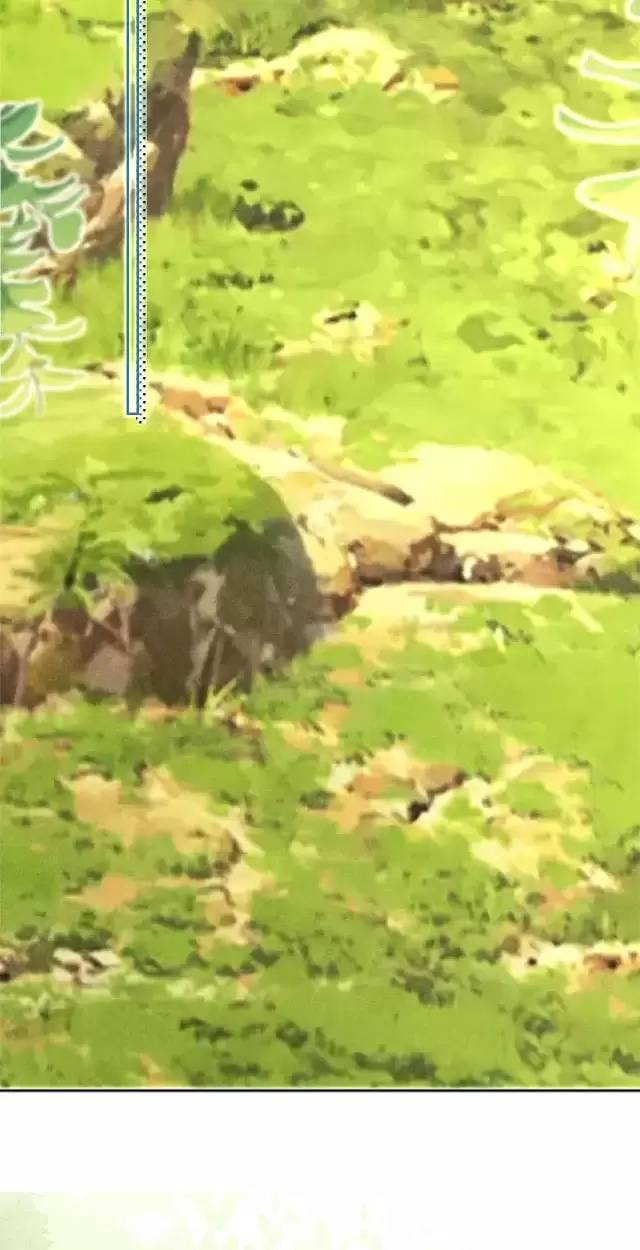 Nam Chủ Hắc Hóa Nuôi Dưỡng Thỏ Online - Chap 23