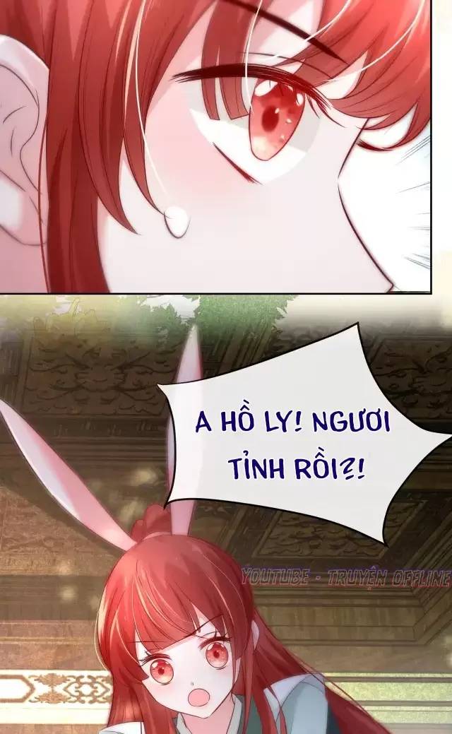 Nam Chủ Hắc Hóa Nuôi Dưỡng Thỏ Online - Chap 28