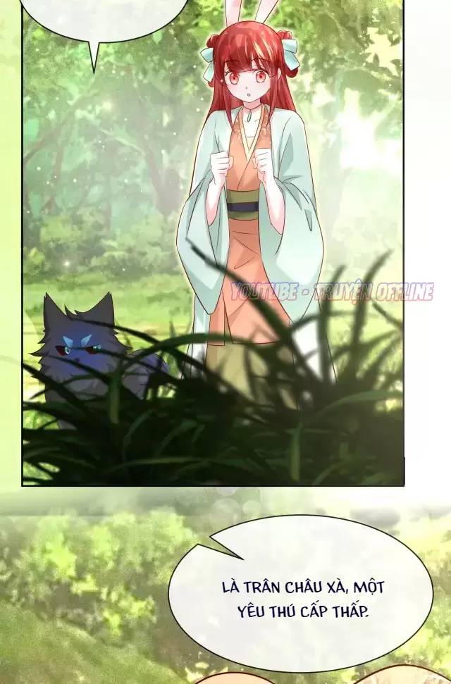 Nam Chủ Hắc Hóa Nuôi Dưỡng Thỏ Online - Chap 30