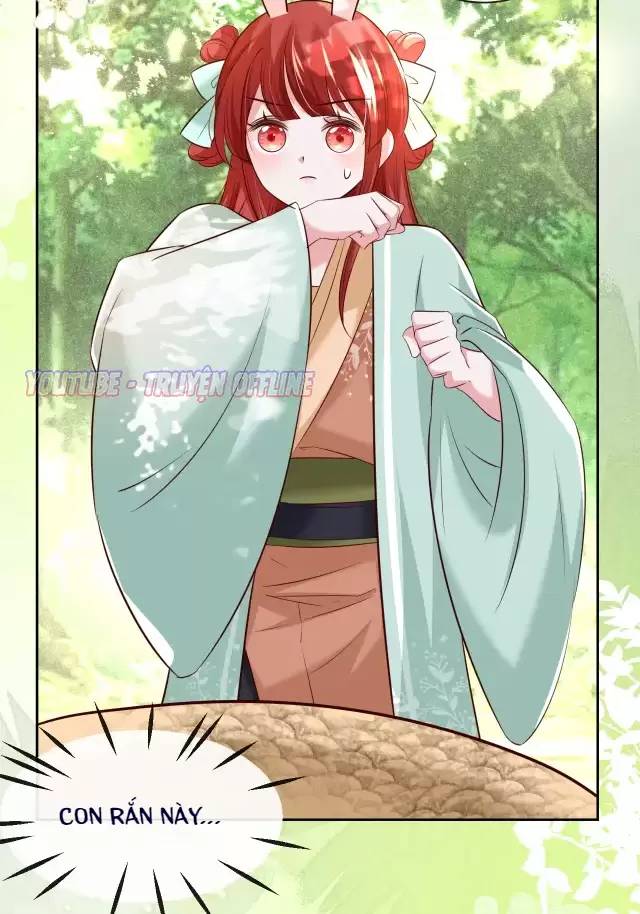 Nam Chủ Hắc Hóa Nuôi Dưỡng Thỏ Online - Chap 30