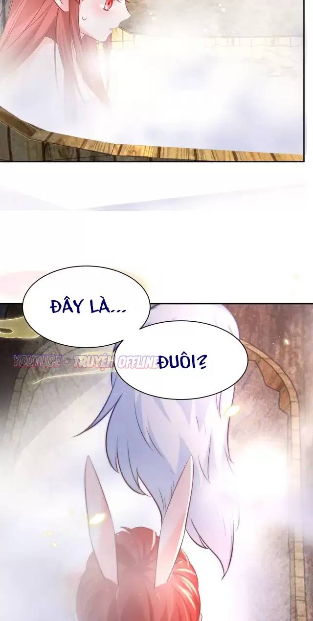 Nam Chủ Hắc Hóa Nuôi Dưỡng Thỏ Online - Chap 31