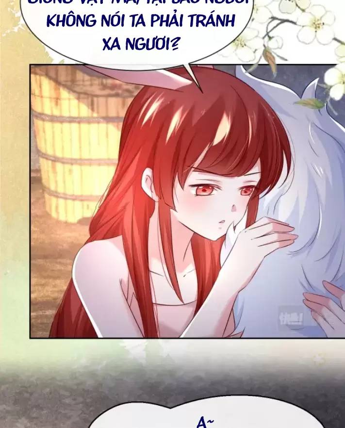 Nam Chủ Hắc Hóa Nuôi Dưỡng Thỏ Online - Chap 32