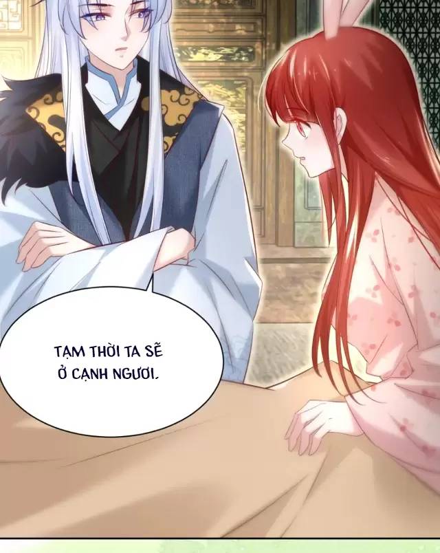 Nam Chủ Hắc Hóa Nuôi Dưỡng Thỏ Online - Chap 33